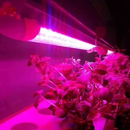 10Pcs 1/2/3/4 Ft LED Tube T5 Grow Light Red/Blue Spectrum(R:B=5:1) Clear Lens for Indoor Plant Veg and Flower Hydroponic Greenhouse Growing Bar Light - Image 6