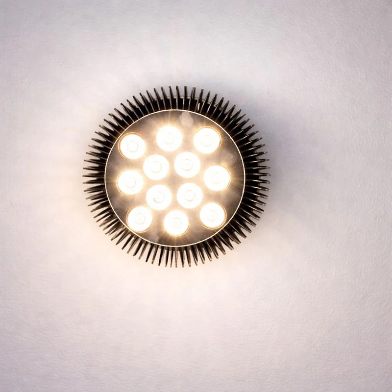 12W (12x1W) PAR38 LED Lamp with E27 Edison Screw Base 90W Equivalent 100-240V AC Black Housing Indoor Type - Image 6
