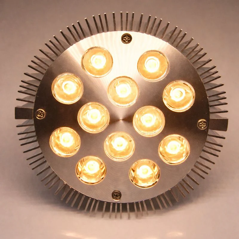 12W (12x1W) PAR38 LED Lamp with E27 Edison Screw Base 90W Equivalent 100-240V AC Silver Housing Indoor Type - Image 12
