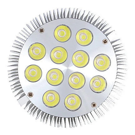 12W (12x1W) PAR38 LED Lamp with E27 Edison Screw Base 90W Equivalent 100-240V AC Silver Housing Indoor Type - Image 3
