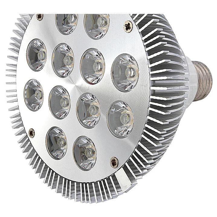 12W (12x1W) PAR38 LED Lamp with E27 Edison Screw Base 90W Equivalent 100-240V AC Silver Housing Indoor Type - Image 4