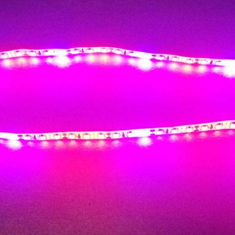10Pcs 2/3/4 feet LED Tube T8 Grow Light Red/Blue Spectrum (R:B=5:1) Clear Lens for Indoor Plant Veg and Flower Hydroponic Greenhouse Growing Bar Light - Image 3