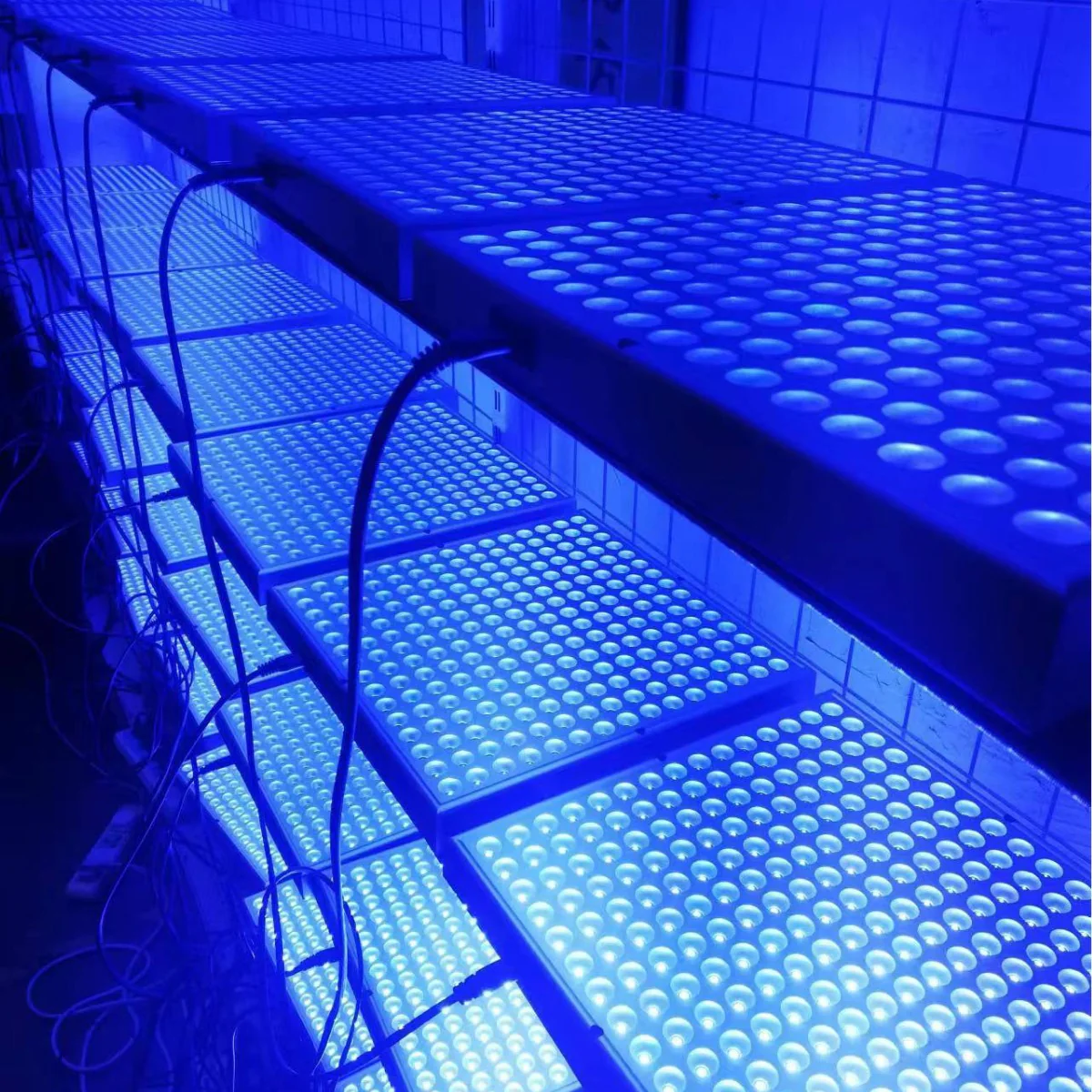20W Floor Standing Blue Light Tanning Lamp – Blue Light 460–465nm | Dimmable & Timer | AC100–240V | Aluminum Alloy + PC Cover | Includes Floor Stand | for Skin Tanning, Bronze Finish | US / EU Plug - Image 13
