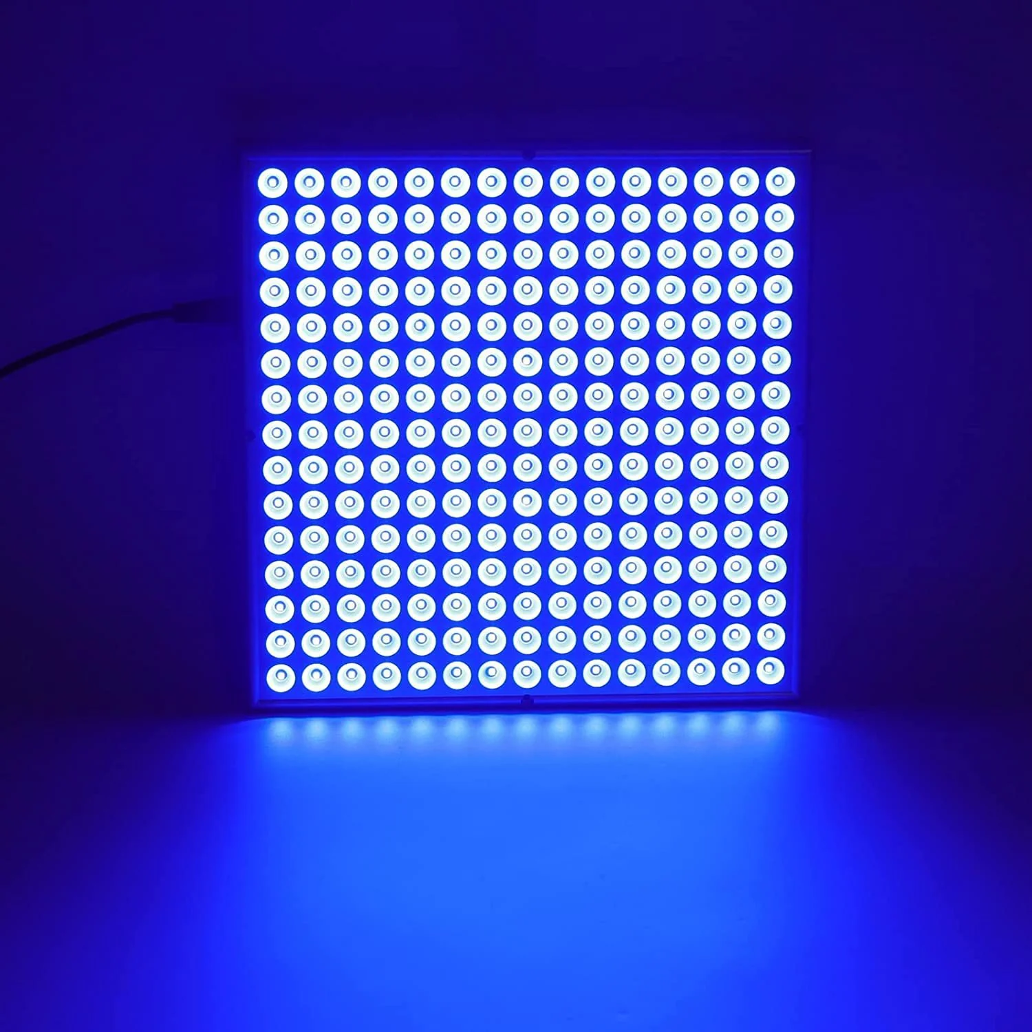20W Floor Standing Blue Light Tanning Lamp – Blue Light 460–465nm | Dimmable & Timer | AC100–240V | Aluminum Alloy + PC Cover | Includes Floor Stand | for Skin Tanning, Bronze Finish | US / EU Plug - Image 4