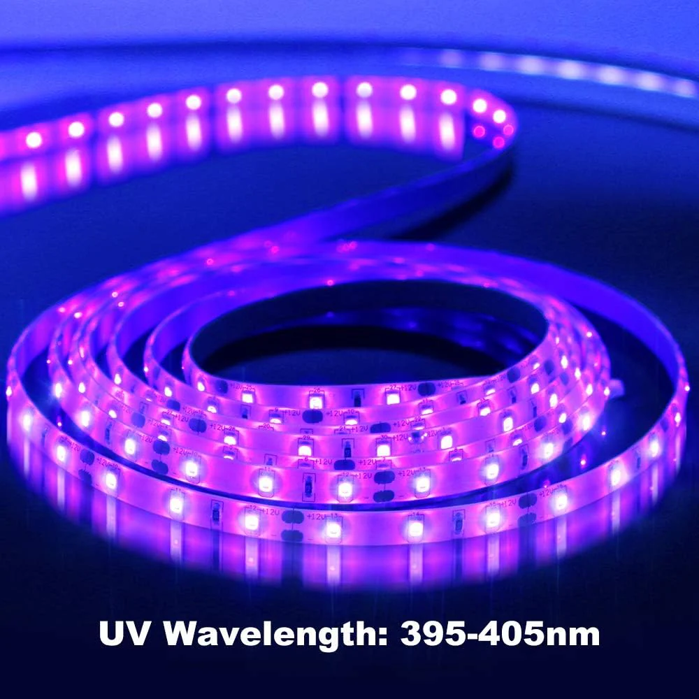 24W / 60W UV Black Light LED Strip – 16.4FT / 5M | SMD2835 | 60 LEDs/m (300 LEDs Total) | 395–405nm | Non-Waterproof / IP65 Waterproof | With Power Supply | For Night Fishing & Black Party - Image 3