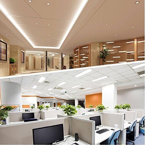 2ft Retrofit T8 LED Tube Light – 10W – Frosted Cover – Warm / Natural / Daylight White – 4-Pack / 20-Pack – Ballast Bypass – Non-Dimmable - Image 11