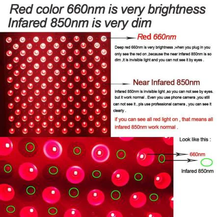 50W Infrared Therapy Lamp – Red Light 655–665nm & IR 850–860nm | Dimmable & Timer | AC100–240V | Aluminum Alloy + PC Cover | for Skin Beauty, Muscle | Blue Stand / Desktop Stand | Included Controller, Protective Goggles | US / EU / UK / AU Plug - Image 13