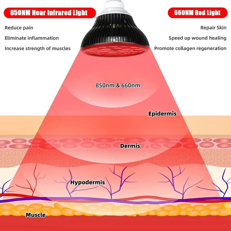 54W PAR38 Infrared Therapy LED Bulb – Dual Chip Red Light 660nm & Near Infrared 850nm | E26 / E27 Base | With / Without Desktop Clamp | US / EU Plug | Plug-In Red Light Therapy Lamp for Skin Beauty, Muscle & Joint Pain Relief - Image 6