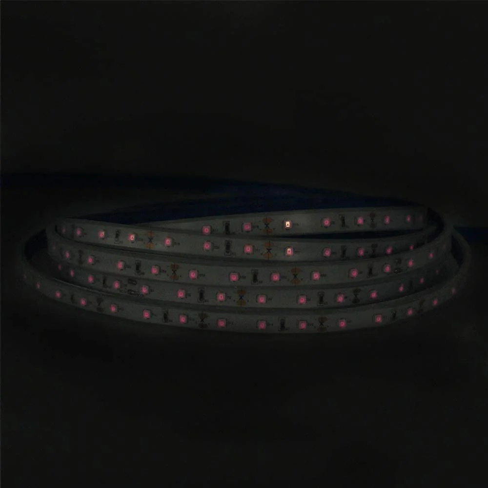 810nm SMD2835 DC12V Infrared LED Strip Light – Near IR for Therapy & Circulation, 60/120/240 LEDs/m, 5 Meters, IP00/IP65 - Image 5